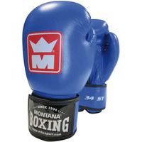 Playwell Paire de gants de boxe Muay Thai Twin Tiger Noir mat 340 g :  : Sports et Loisirs