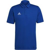 Polo - adidas - entrada 22 bleu royal