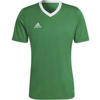 Maillot - adidas - entrada 22 vert