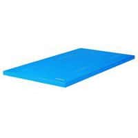 Tapis de gymnastique houssé 200 x 100 cm - Dimasport