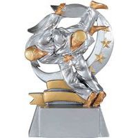 Trophée judo argent - 15cm