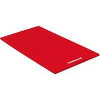 Tapis de gymnastique - Gymnova - houssés 200 x 100 x 4cm