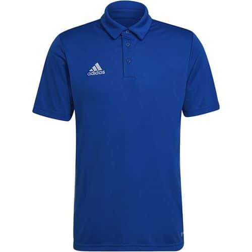 Polo - adidas - entrada 22 bleu royal