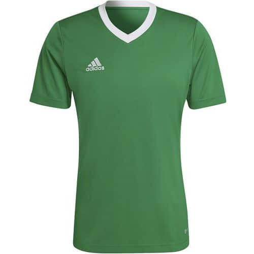 Maillot - adidas - entrada 22 vert