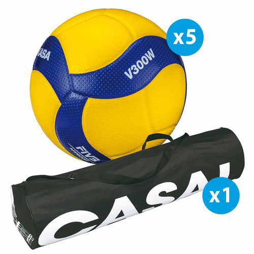 Lot 5 ballons de volley - Mikasa - V300W