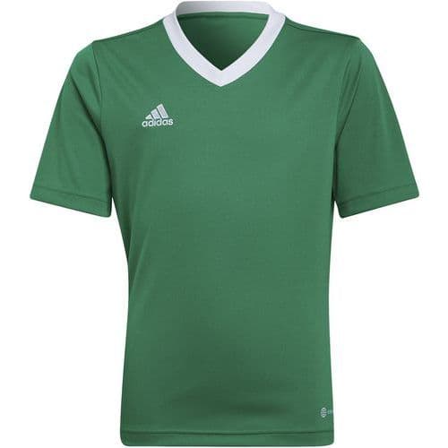 Maillot enfant - adidas - entrada 22 vert