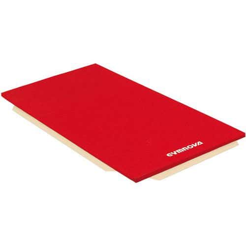 Tapis de gymnastique - Gymnova - associatifs houssés 200 x 100 x 4 cm