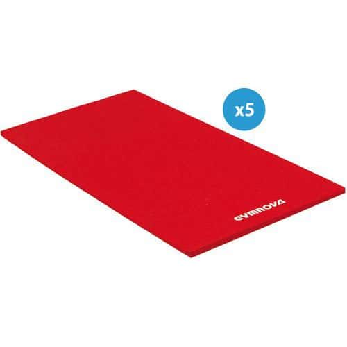 Tapis de gymnastique - Gymnova - houssés 200 x 100 x 4cm