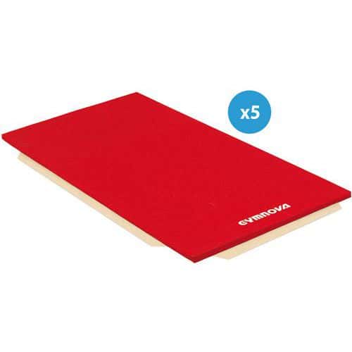 Tapis de gymnastique - Gymnova - associatifs houssés 200 x 100 x 5 cm