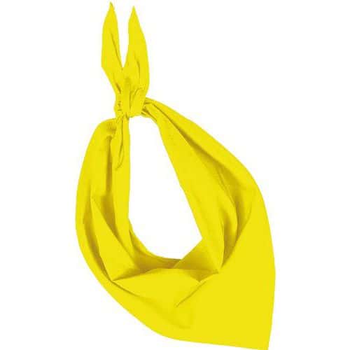 Foulard Eco de couleur