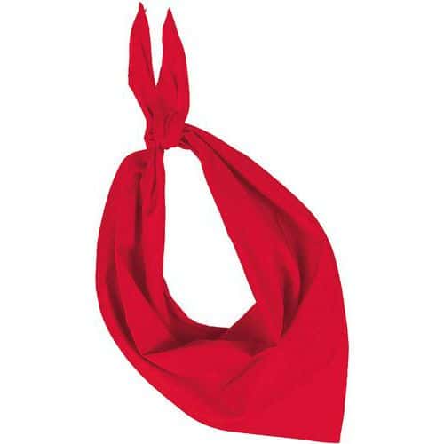 Foulard Eco de couleur