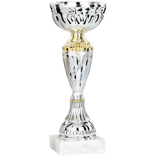 Coupe economique - argent - victoire