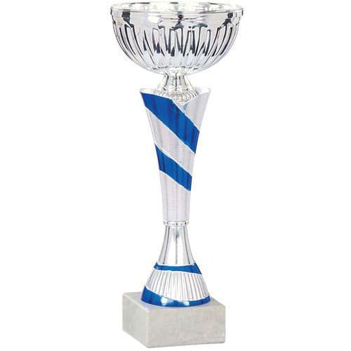 Coupe economique - argent/bleu