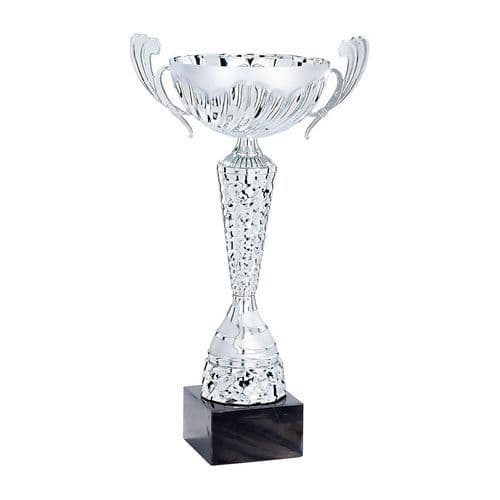 Coupe - premium - argent - 2024